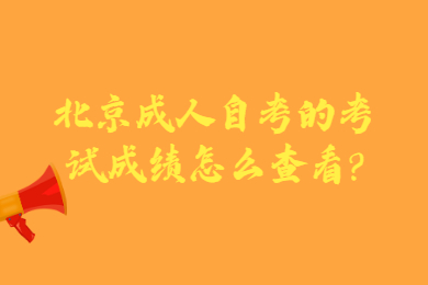 北京成人自考的考试成绩怎么查看?