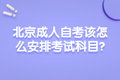 北京成人自考该怎么安排考试科目?